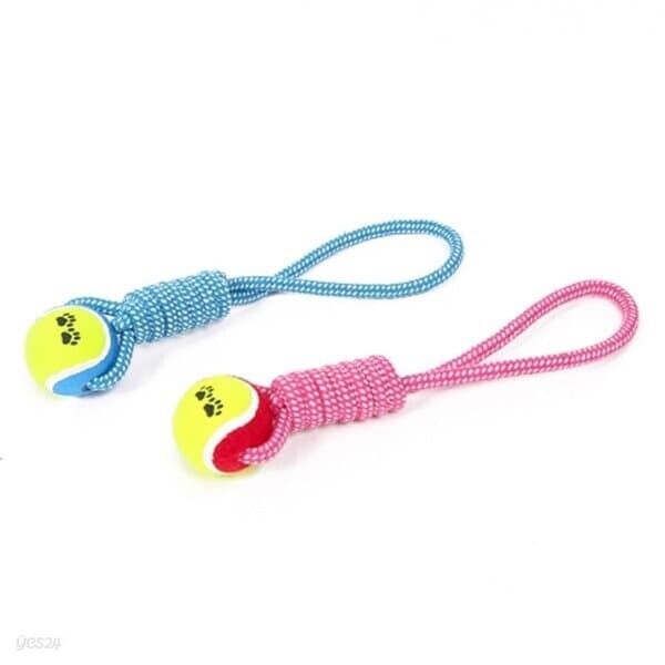 애견 놀아주기 테니스볼 터그놀이