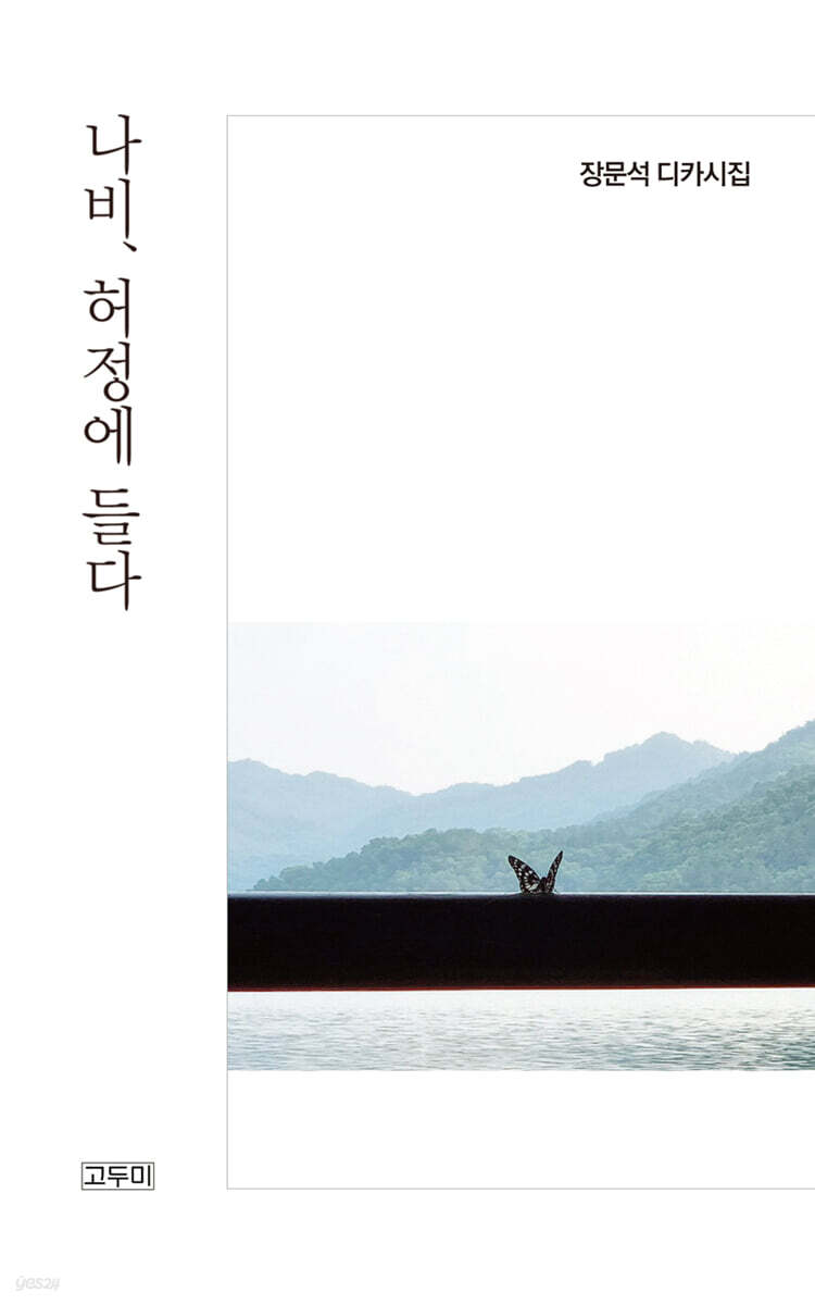나비 허정에 들다