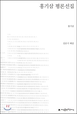 홍기삼 평론선집