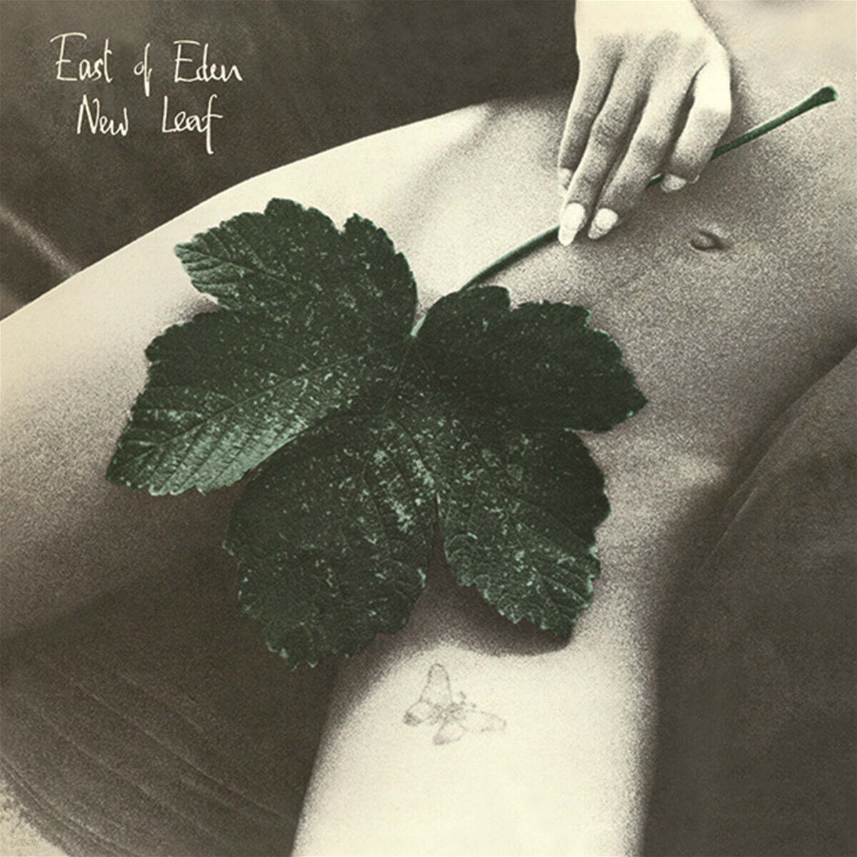 East Of Eden (이스트 오브 에덴) - 4집 New Leaf