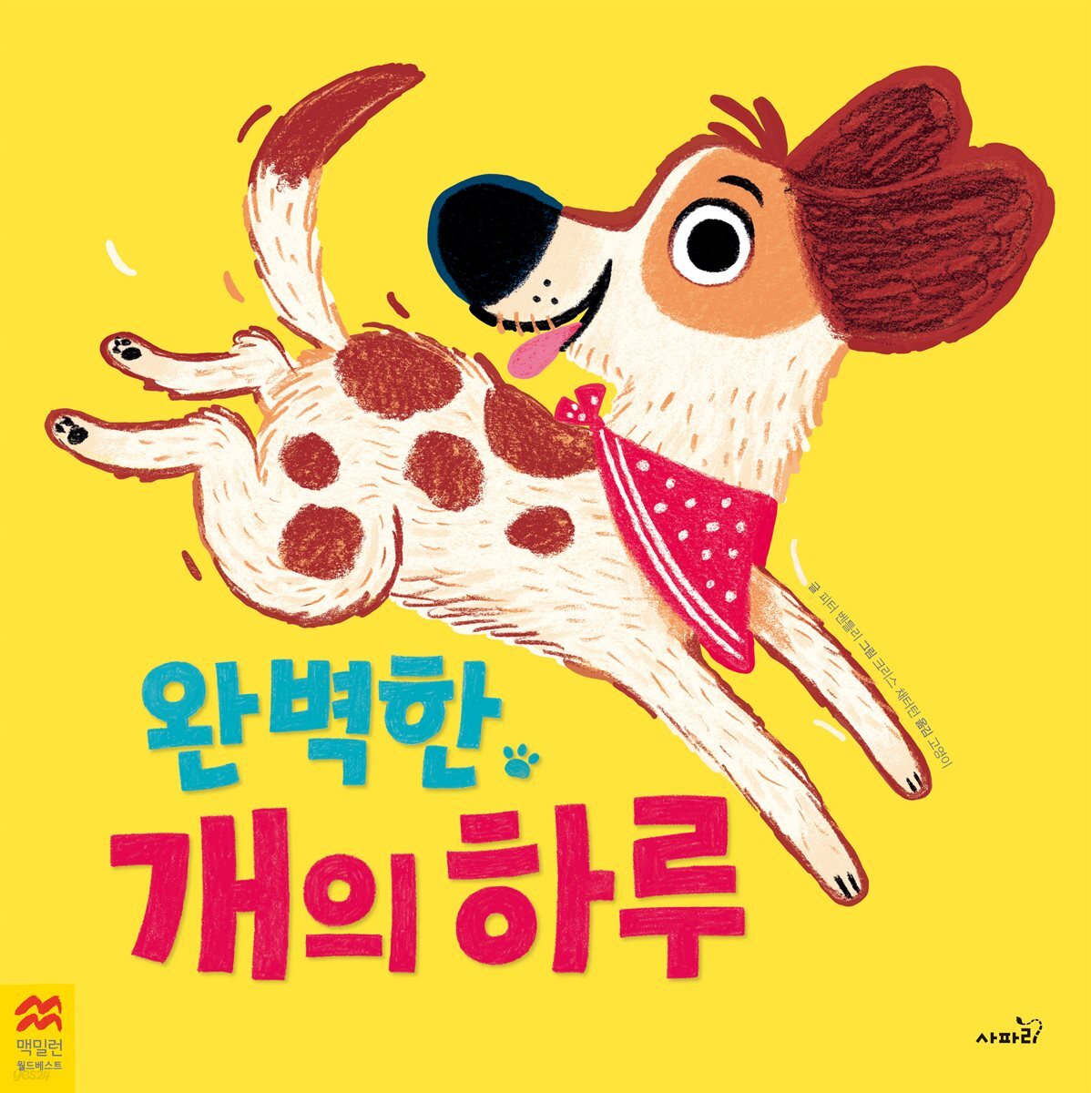 완벽한 개의 하루