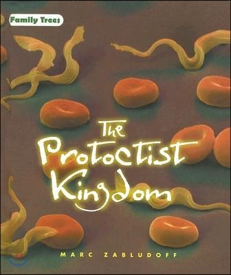 The Protoctist Kingdom