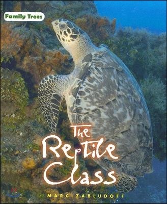 The Reptile Class