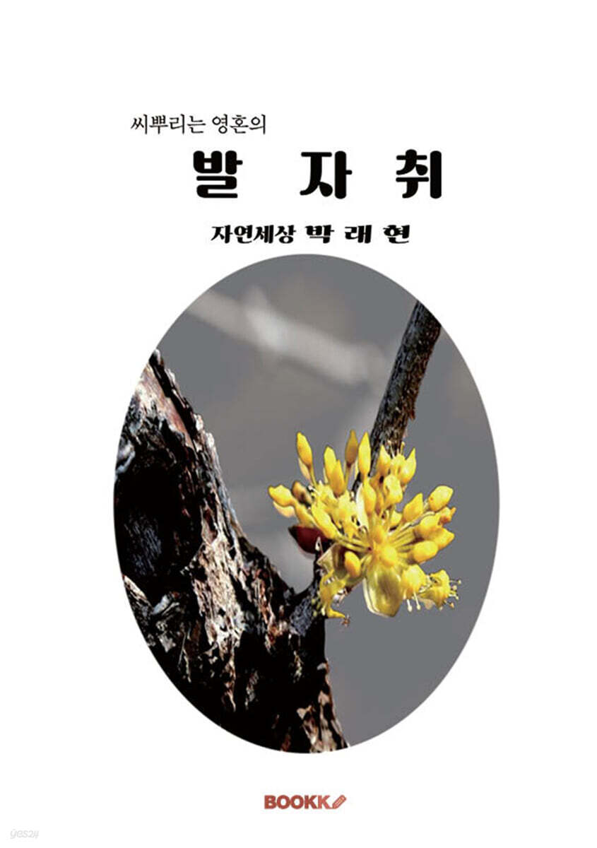 씨뿌리는 영혼의 발자취