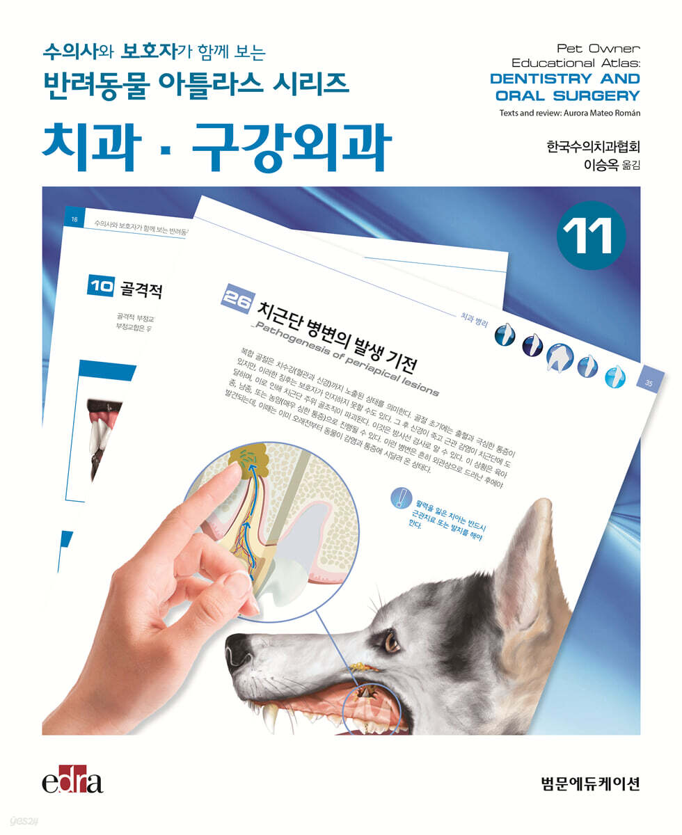 수의사와 보호자가 함께 보는 반려동물 아틀라스 시리즈 : 치과·구강외과
