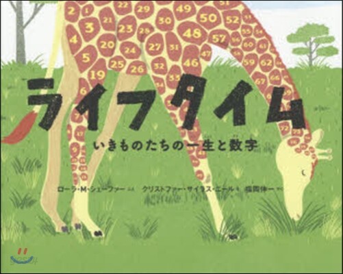 ライフタイム いきものたちの一生と數字