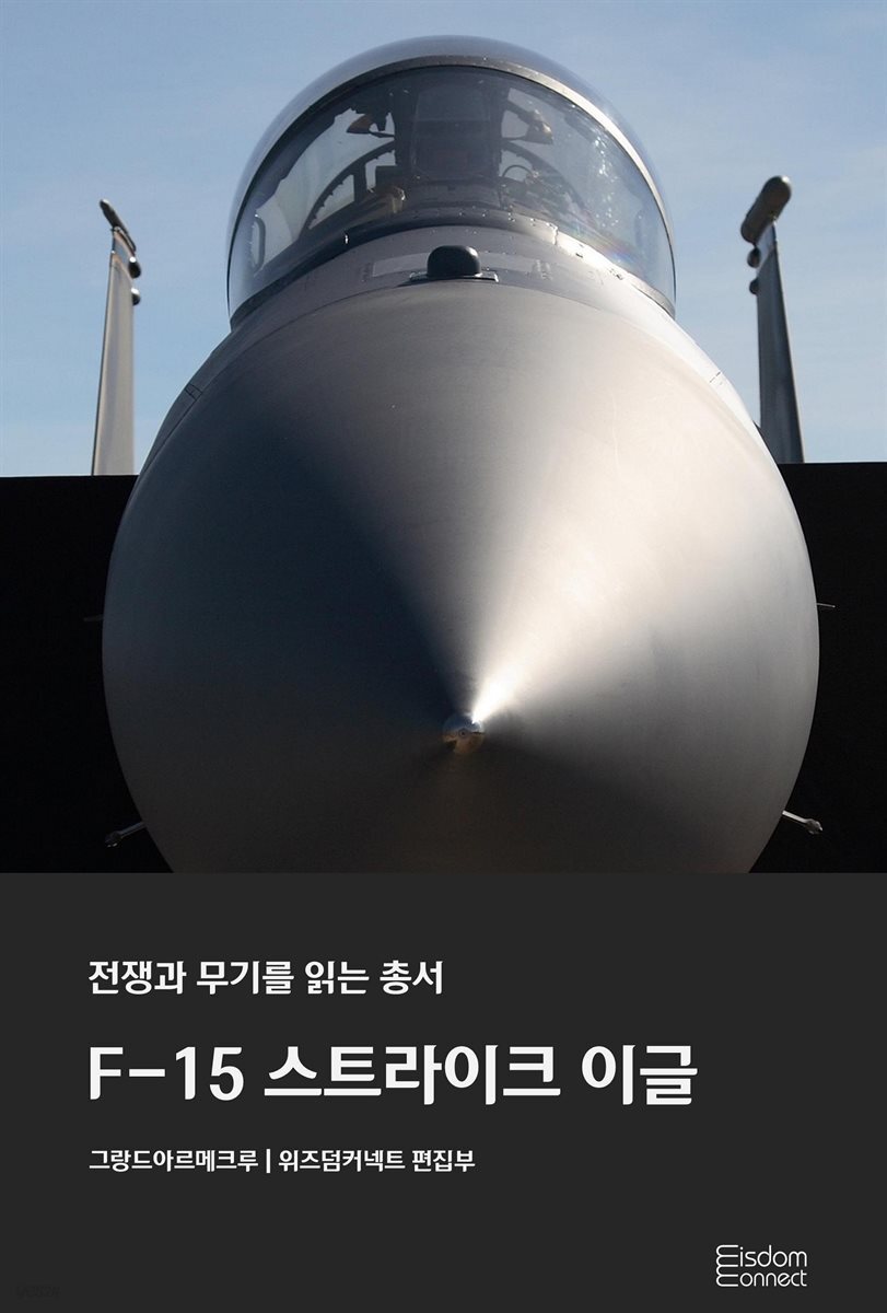 F-15 스트라이크 이글 - 전쟁과 무기를 읽는 총서