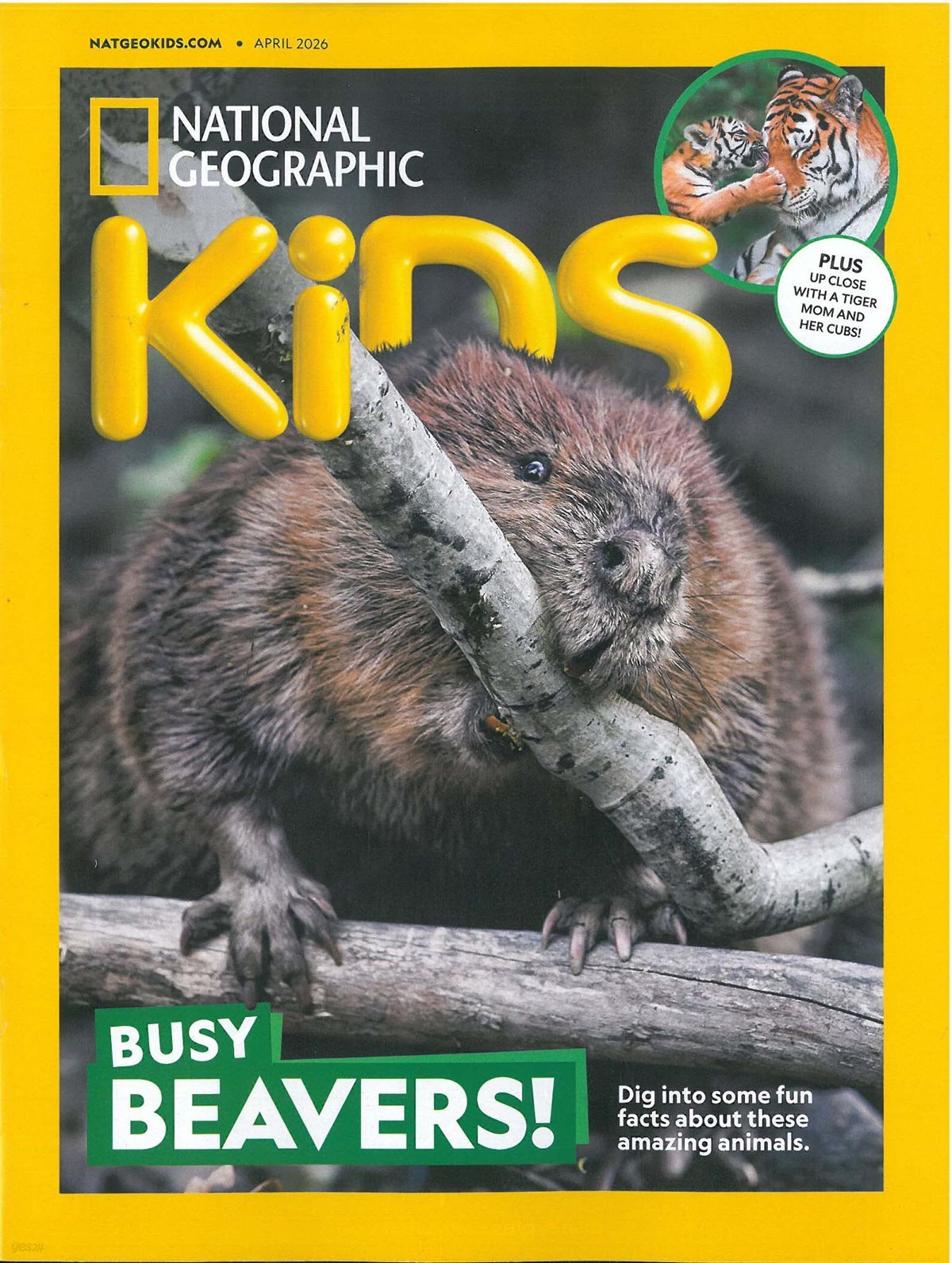 National Geographic Kids (월간) : 2026년 04월