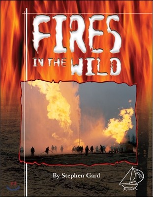 Fires in the Wild