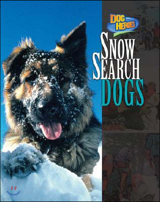 Snow Search Dogs