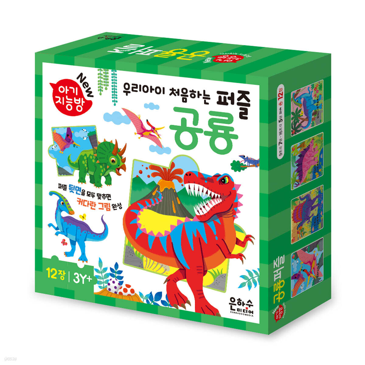 New 아기지능방 공룡 퍼즐