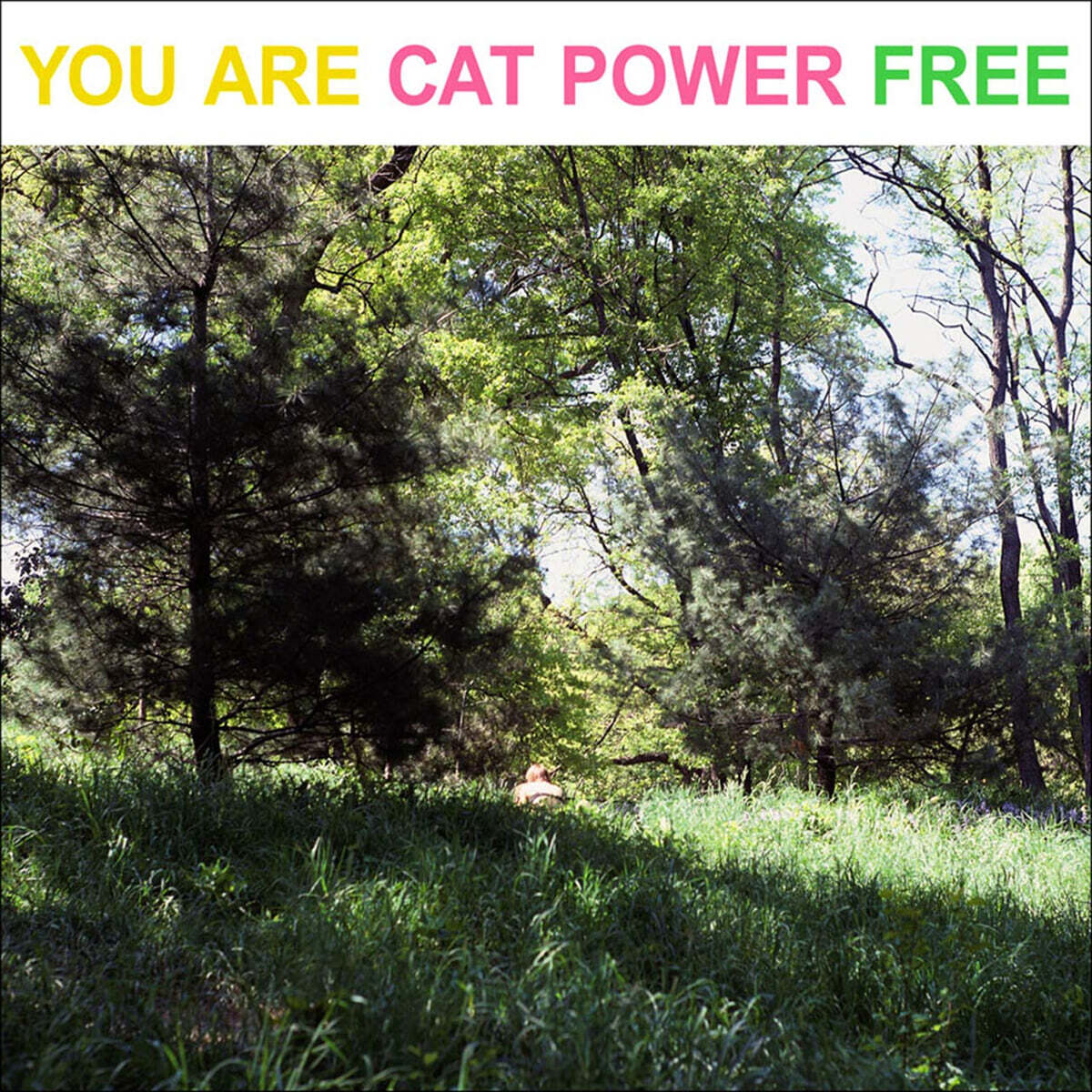 Cat Power (캣 파워) - You Are Free [2LP]