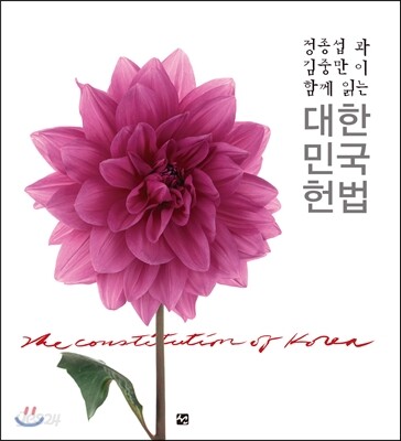 대한민국헌법