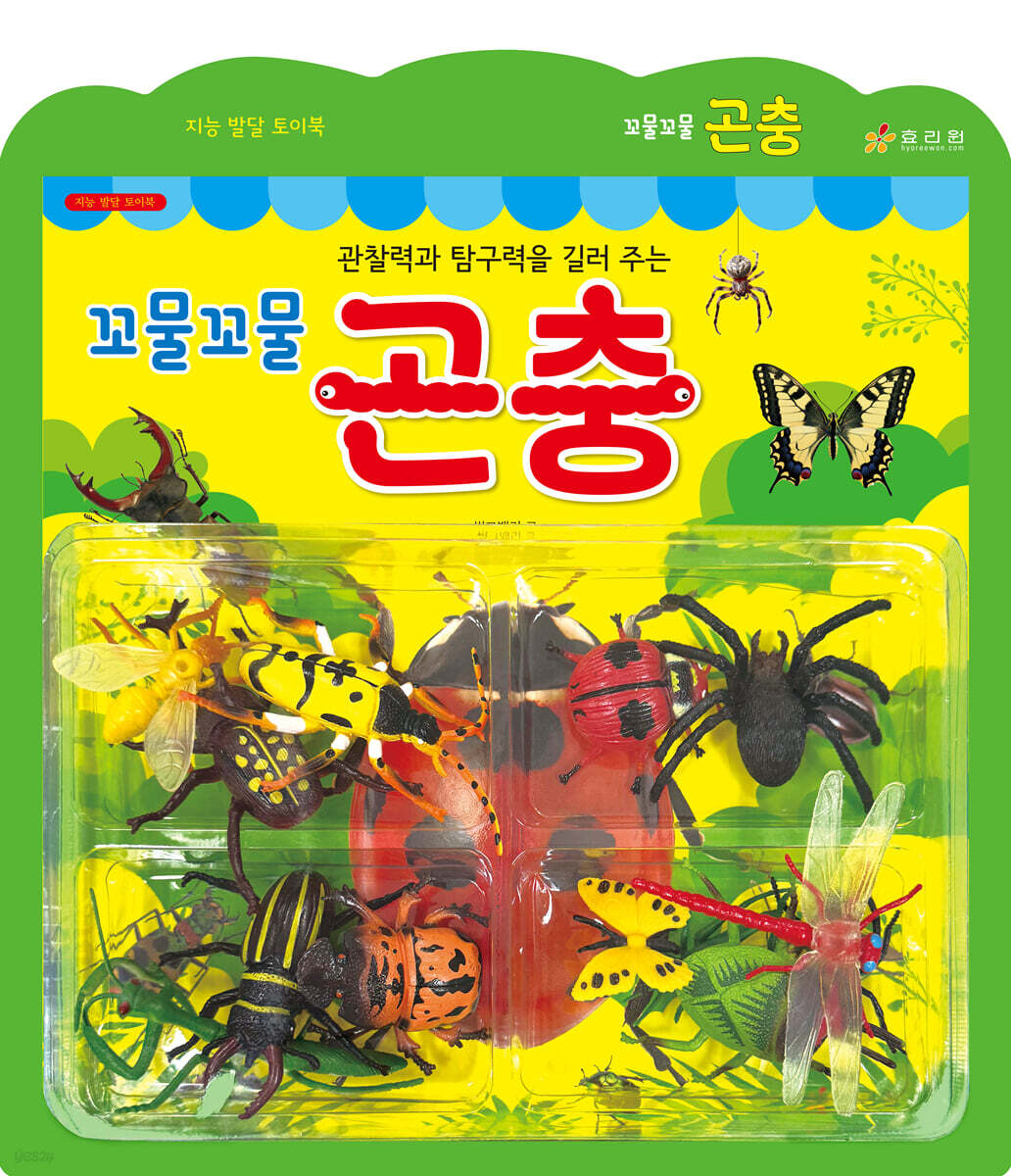꼬물꼬물 곤충