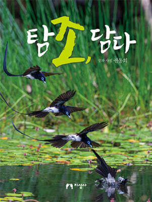 탐조, 담다