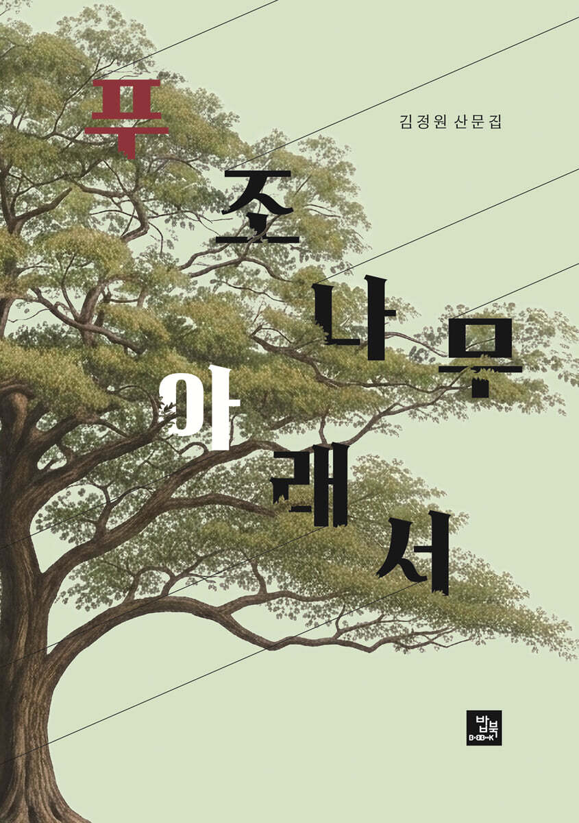 푸조나무 아래서