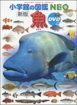 魚 新版 DVDつき