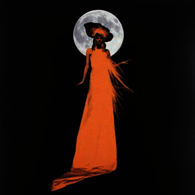 Karen Elson — Ghost Who Walks 앨범 커버