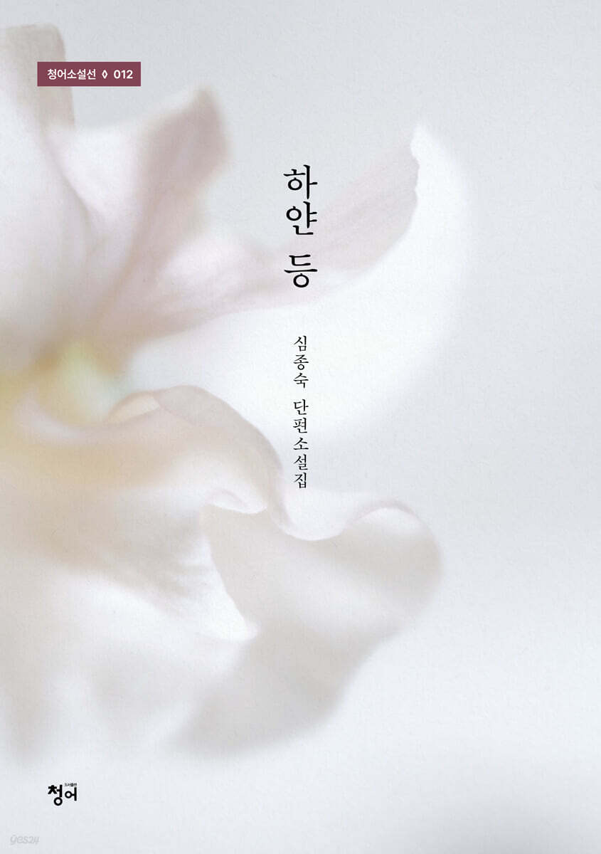 하얀 등