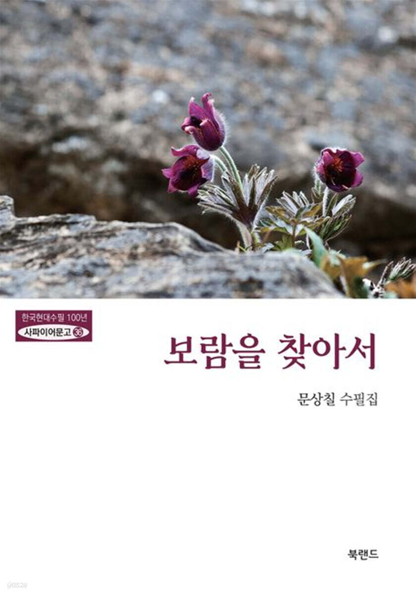 보람을 찾아서