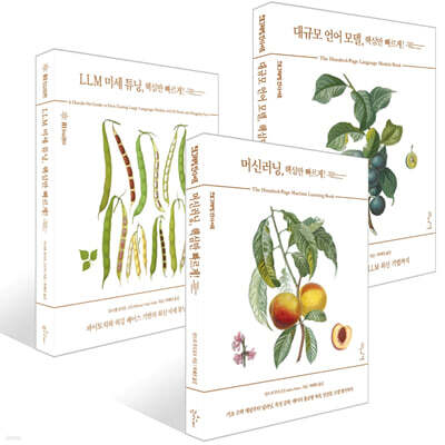 핵심만 빠르게! 3권 세트