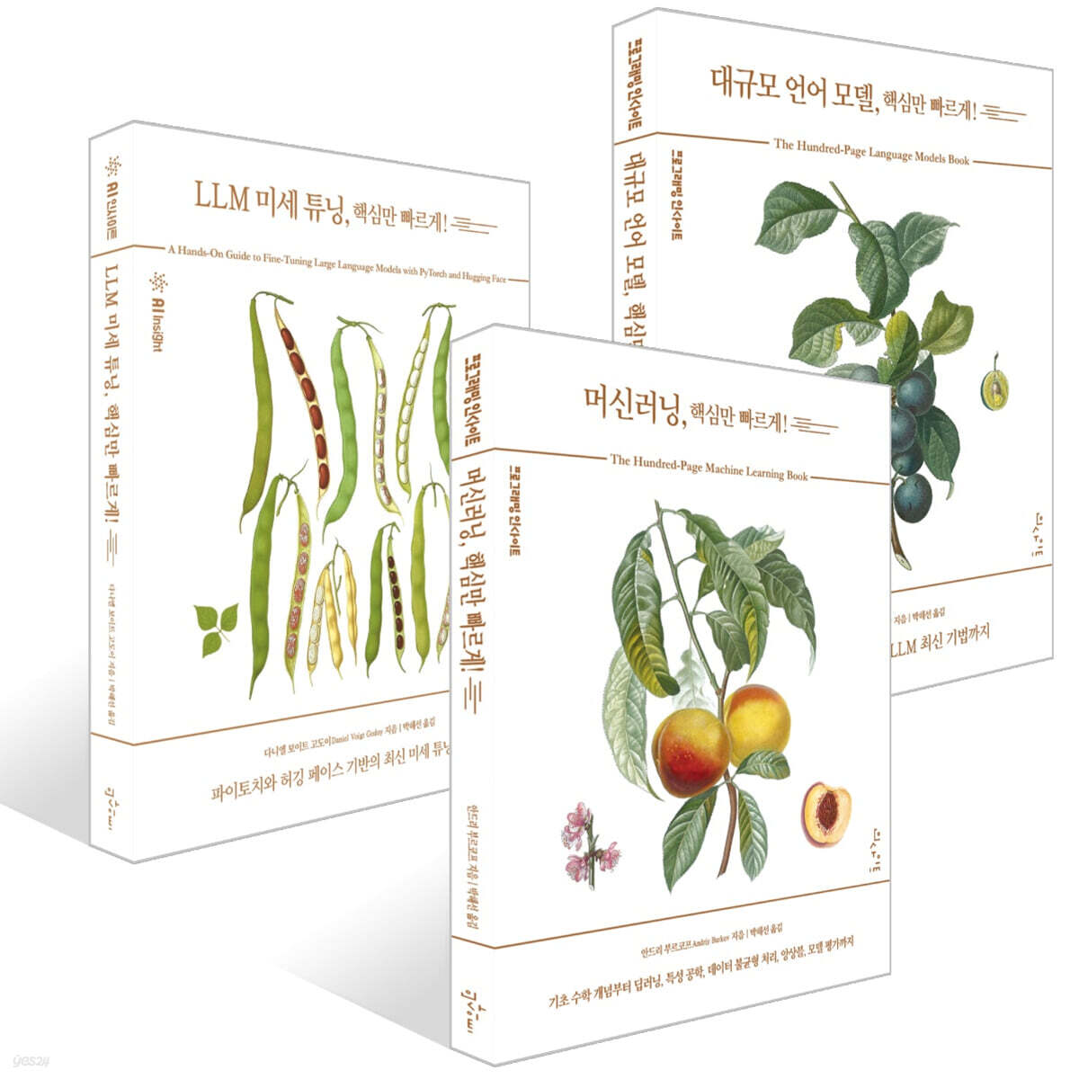 핵심만 빠르게! 3권 세트