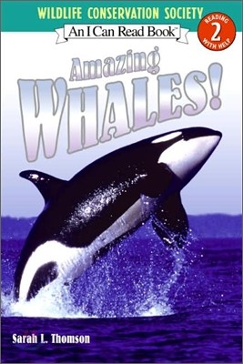 Amazing Whales!