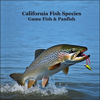 California Game Fish and Panfish Species Kids Book: Great Book About the Different Types of Fish in California
