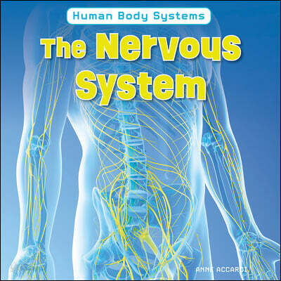 The Nervous System
