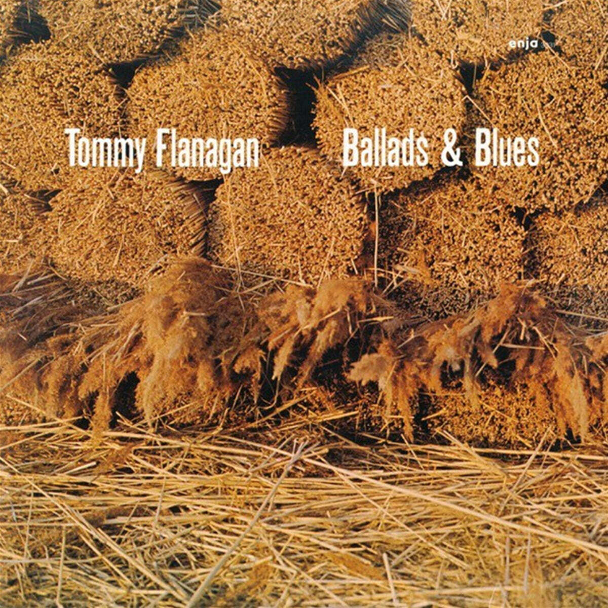 Tommy Flanagan (토미 플래너건) - Ballads & Blues
