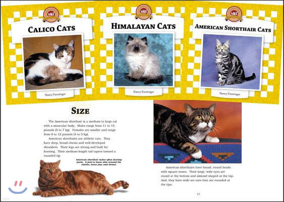 Cats Set 4: Checkerboard Animal Library Anniversary Edition