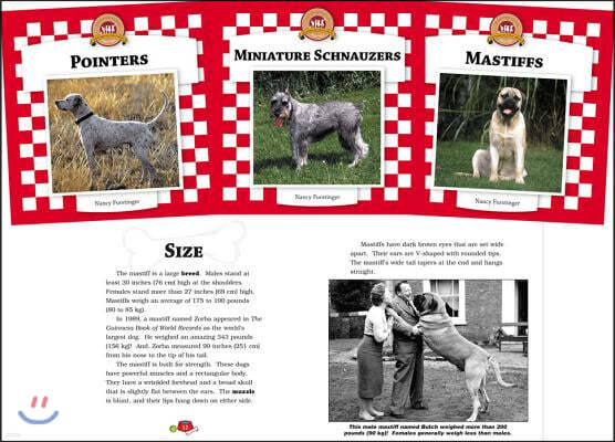 Dogs Set 6 (Set)