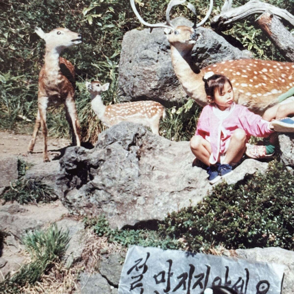 이하소 - 지나고 보니 사랑이었던 것들