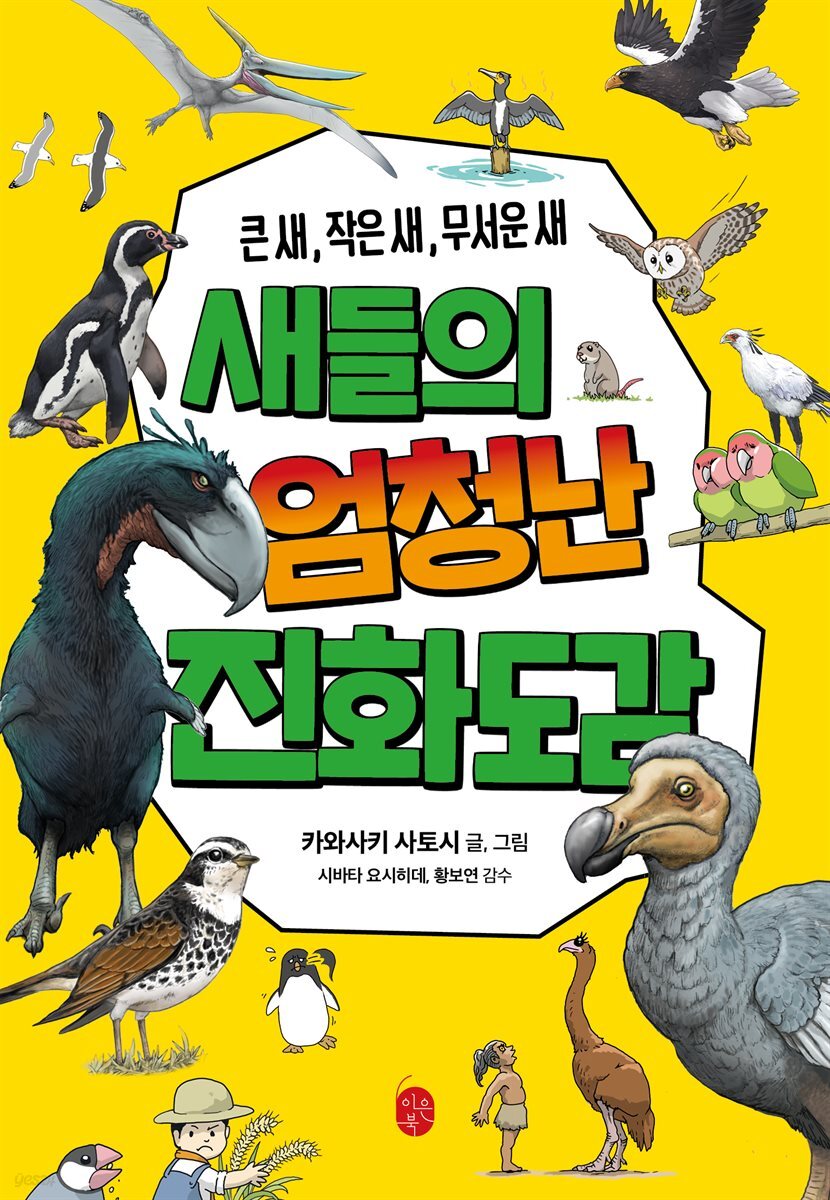 새들의 엄청난 진화도감