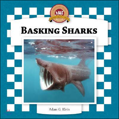 Basking Sharks