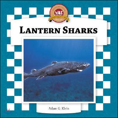 Lantern Sharks