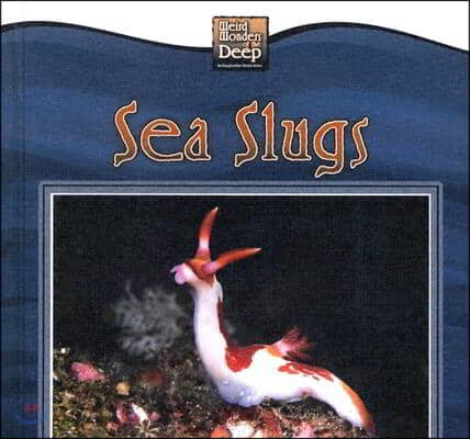 Sea Slugs