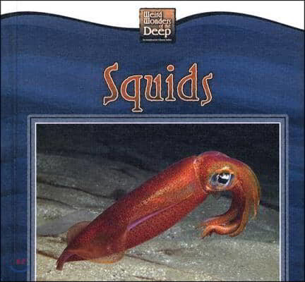 Squids