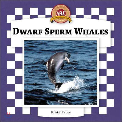 Dwarf Sperm Whales