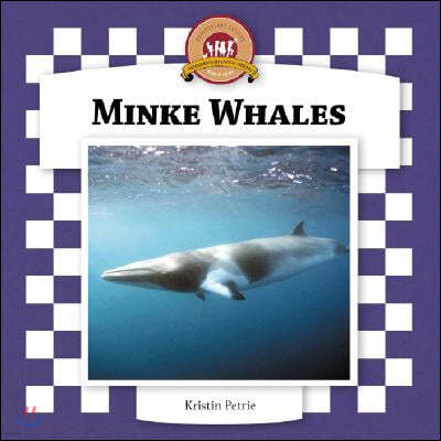 Minke Whales