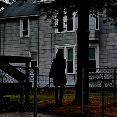 Tallest Man On Earth - Dark Bird Is Home (LP)
