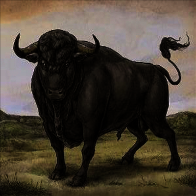San Fermin — San Fermin 앨범 커버
