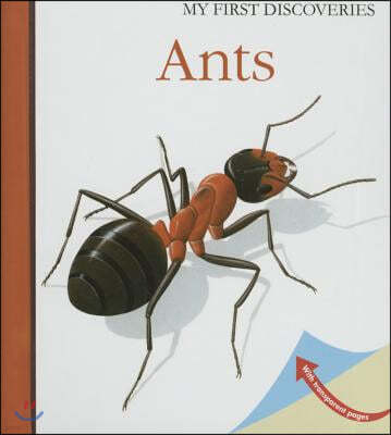 Ants