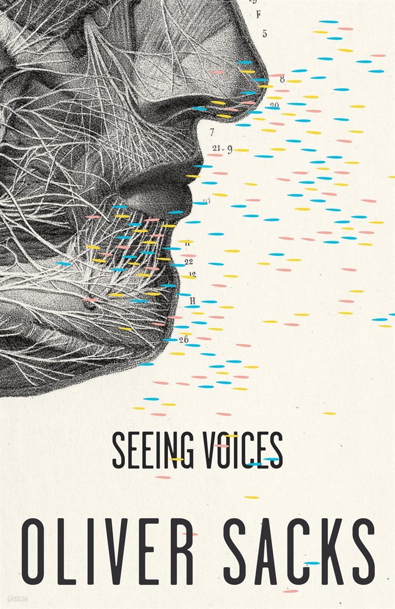 Seeing Voices