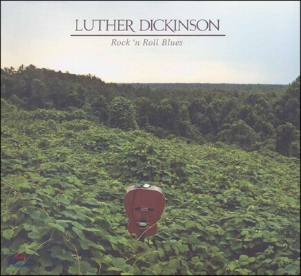 Luther Dickinson (루터 디킨슨) - Rock 'N Roll Blues