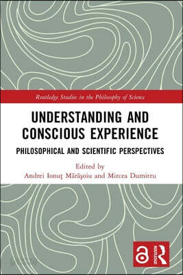 Understanding and Conscious Experience
