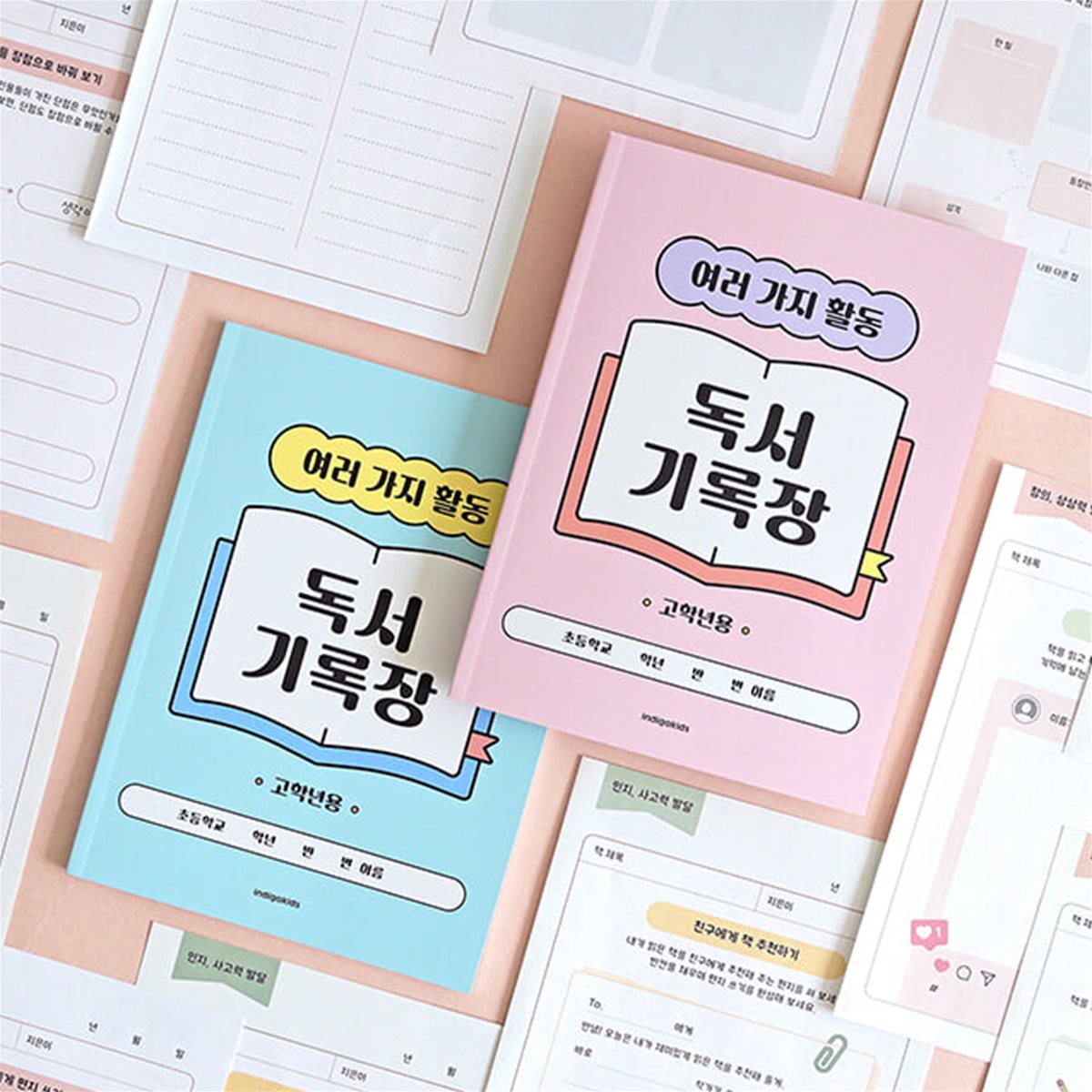 초등 고학년 여러 가지 활동 독서기록장(12가지 활동, 60권)