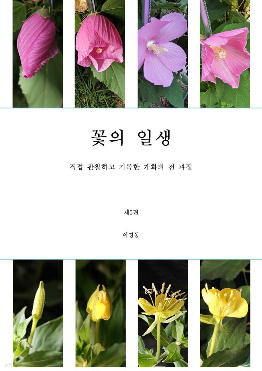 꽃의 일생 5권