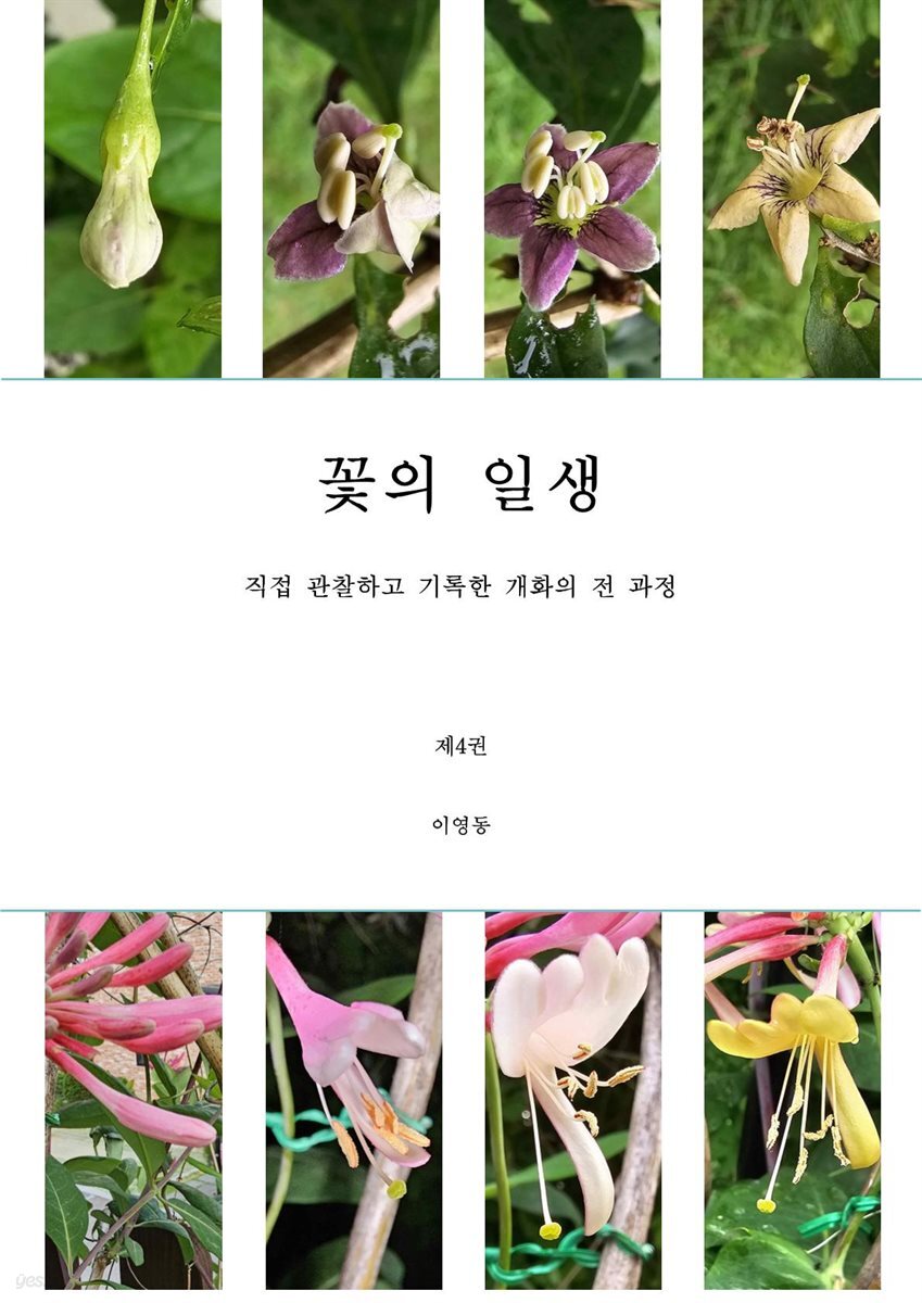 꽃의 일생 4권