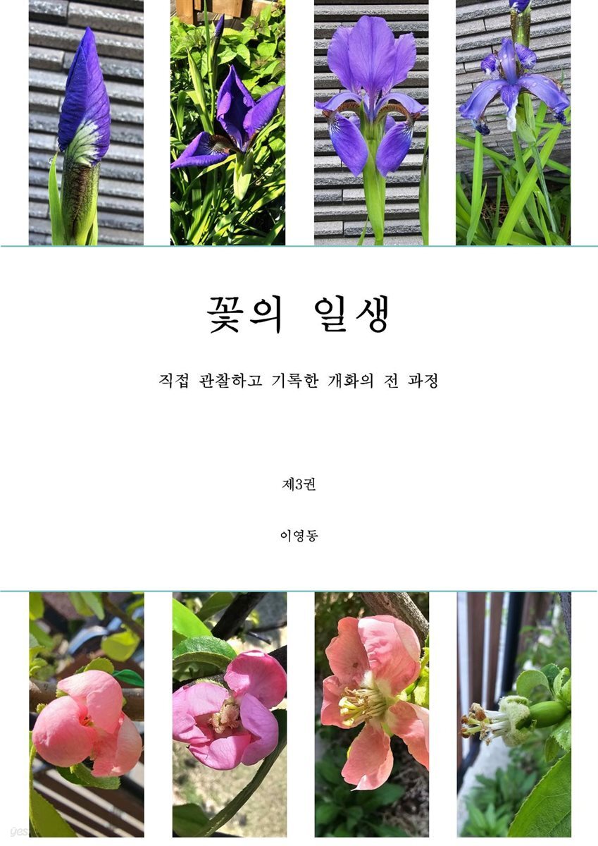 꽃의 일생 3권